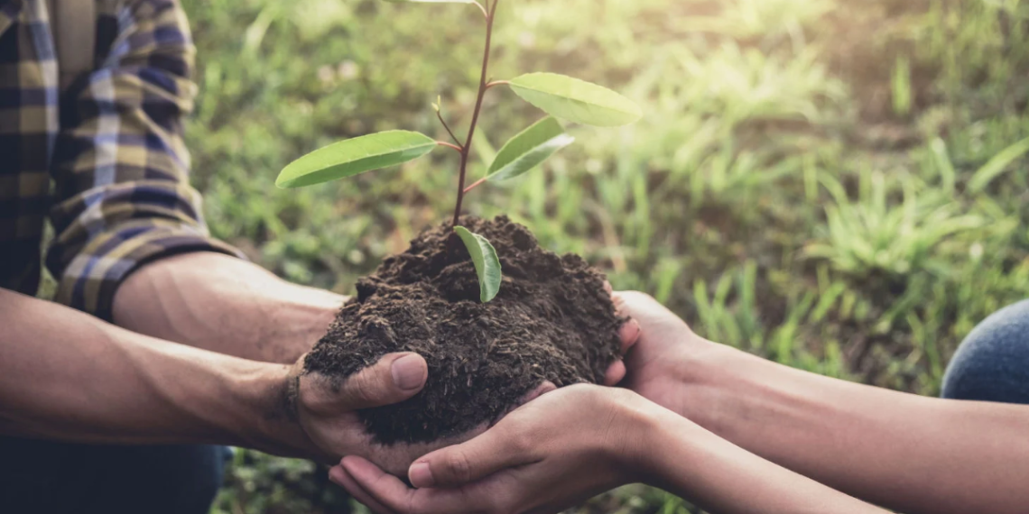 Reforestan Monterrey: 90 Nuevos Árboles En Calzada Miravalle 