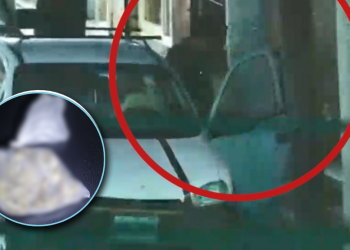 C4 Capta a Presunto Ladrón y Lo Detienen Con Droga en Monterrey