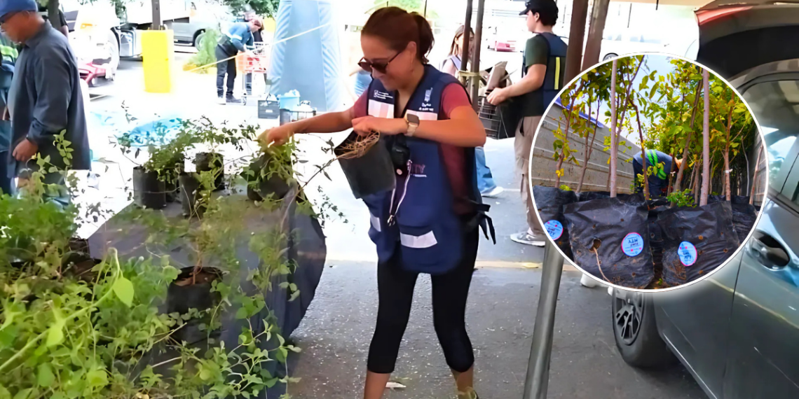 Monterrey Impulsa Conciencia Ambiental Por Un Futuro Más Verde