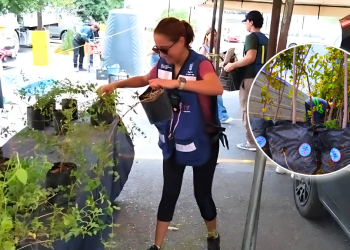 Monterrey Impulsa Conciencia Ambiental Por Un Futuro Más Verde