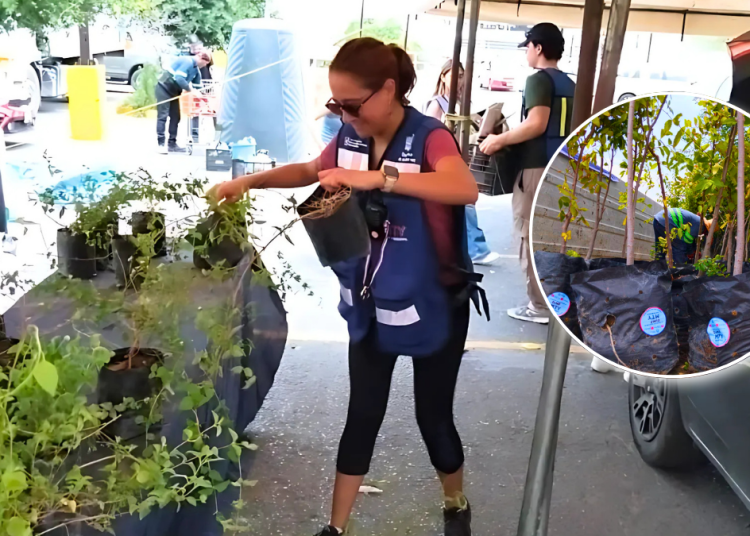 Monterrey Impulsa Conciencia Ambiental Por Un Futuro Más Verde