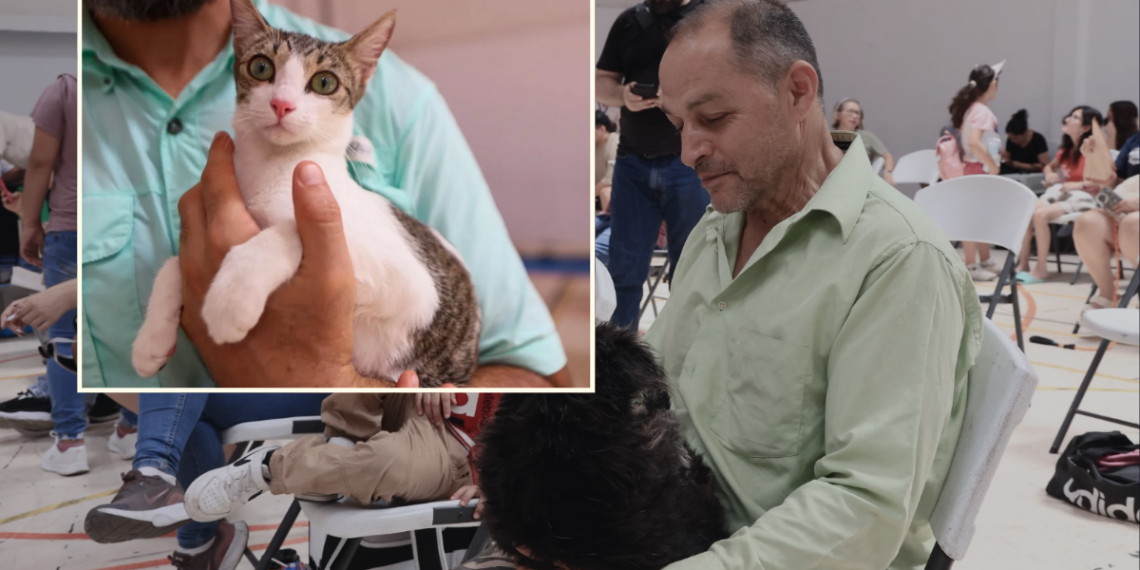 Supervisa Adrián de la Garza brigada de esterilización de mascotas - VOZ Y OPINION - VOZ Y OPINION Bienestar-Animal-Monterrey