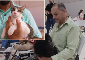 Bienestar-Animal-Monterrey