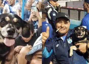 el-porquería-perrito-viral-argentina