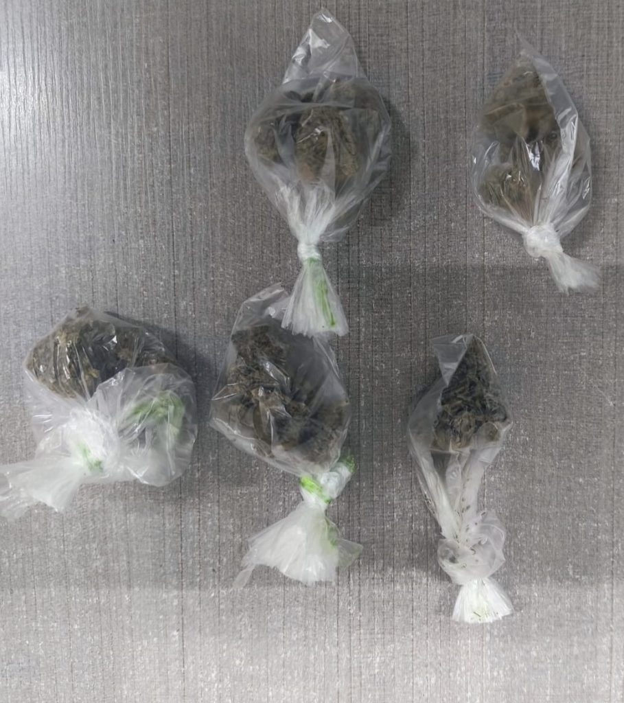 detenido-con-droga-robos-a-negocios-Policía-de-Monterrey-mariguana-norponiente